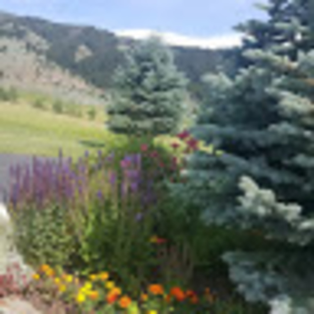 Meet your Posher, Sue